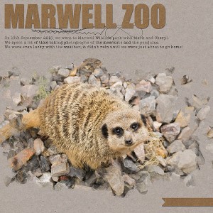 MOC9| Marwell Zoo