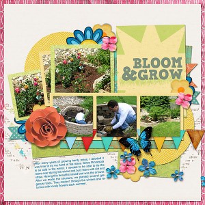 Bloom and Grow