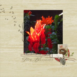 MOC17-Fire Blossoms