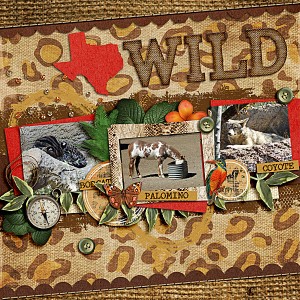 Texas Wild