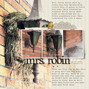 Mrs Robin