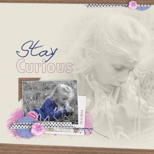 Stay Curious