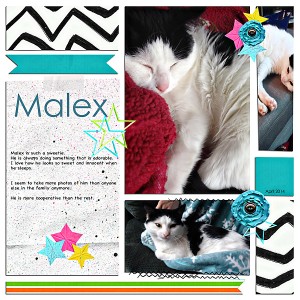 Malex