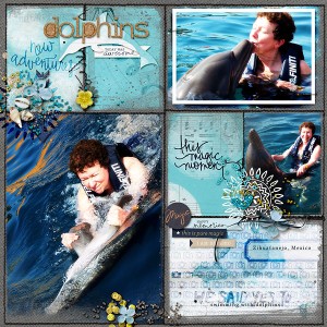 Dolphins