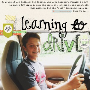 Learning To Drive