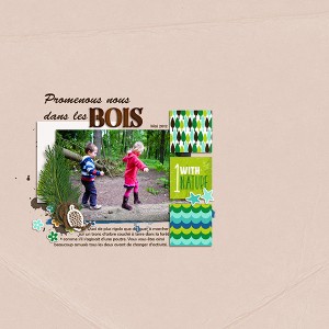 Promenons nous dans les bois
