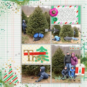 Getting Our Tree