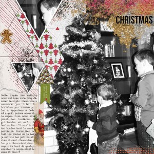 Christmas preparation
