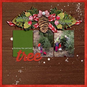 finding-the-perfect-tree