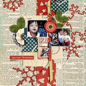 Merry Christmas 2008