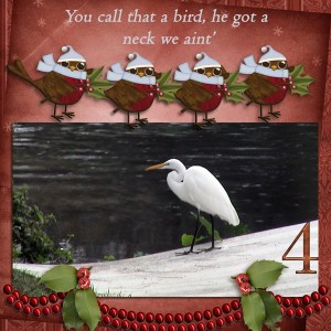 bird