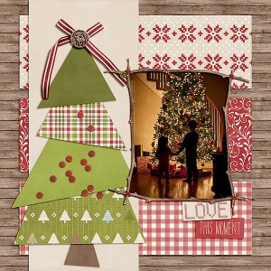 12_20_2011-love-this-moment