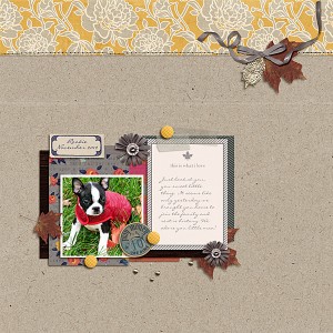 Rookie-November-20121