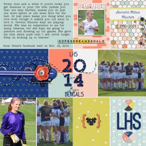 Soccer 2014