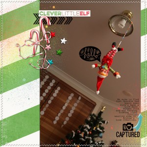 Bungee Elf