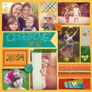 2014 Cover
