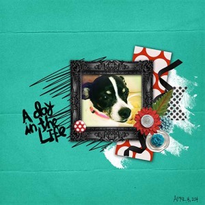 MOC3 Jan 1