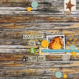 Cozy Nights
