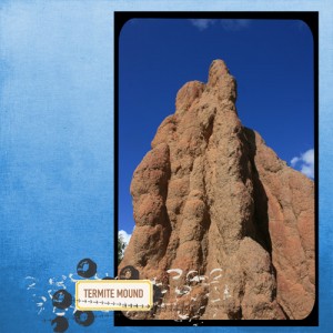 Termite Mound