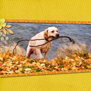lilypad moc jan 3 art inspiration