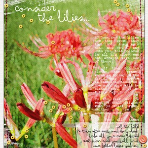 CONSIDER THE LILIES / ahg_10515