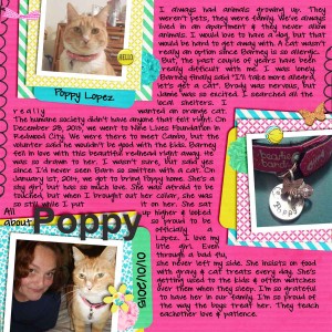 All About Poppy