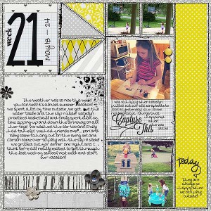 PL-21-L-web