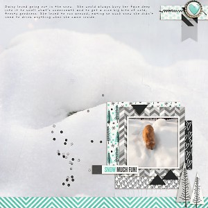 Snow Fun