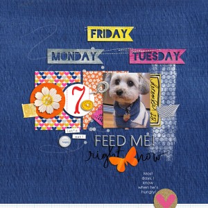 MOC12 Detailed: Feed Me Right Now