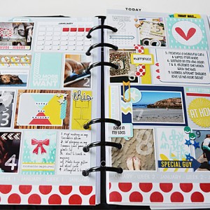 Time planner insert