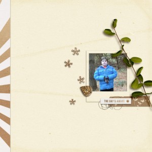 JANUARY 14: Quickpage Embellishment