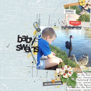 MOC - Challenge 20 - Point and Shoot - baby swans