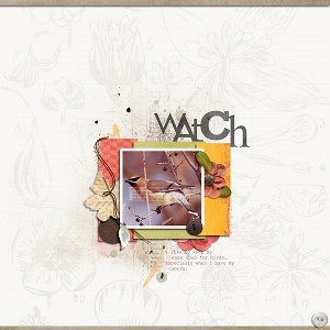 watch