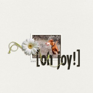 oh joy!