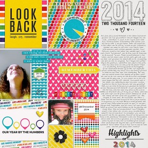 Highlights of 2014