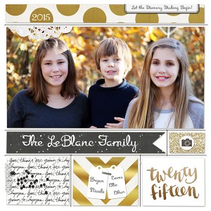 PL 2015 Cover Page