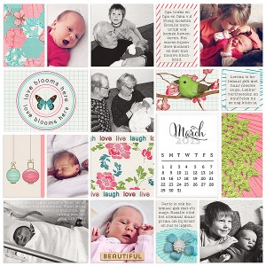 2013 March