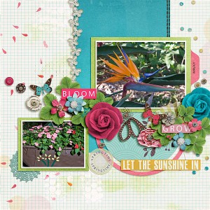 Let The Sunshine In