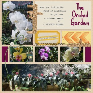 The Orchid Garden