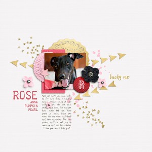 Rose
