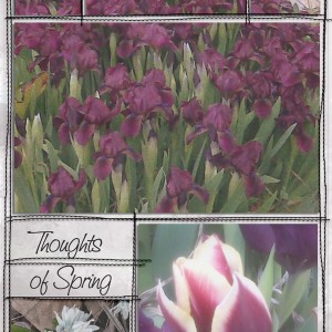 Thoughts of Spring
