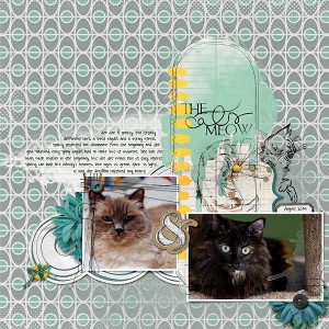 cats