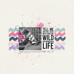 Wild & Wonderful