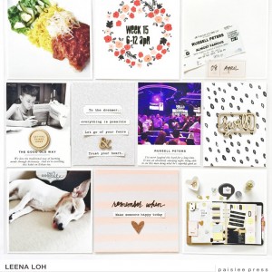 Project Life Week 15