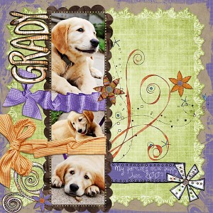 Grady