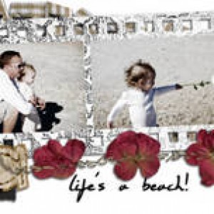 new blog header