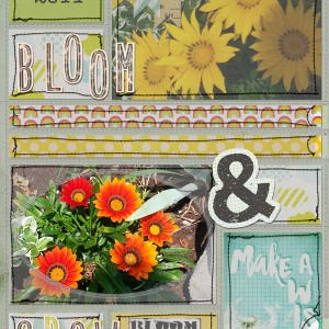 Summer Flowers