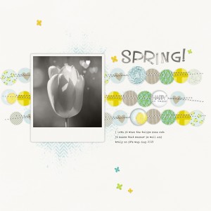 Slow Scrap INSD
