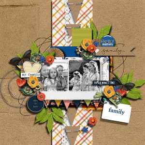 For the Love of a Family