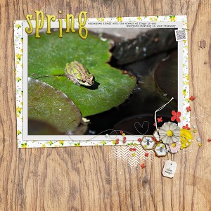 On the Lilypad